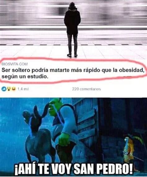 graciosas memes de solteros|Mejores memes de soltería